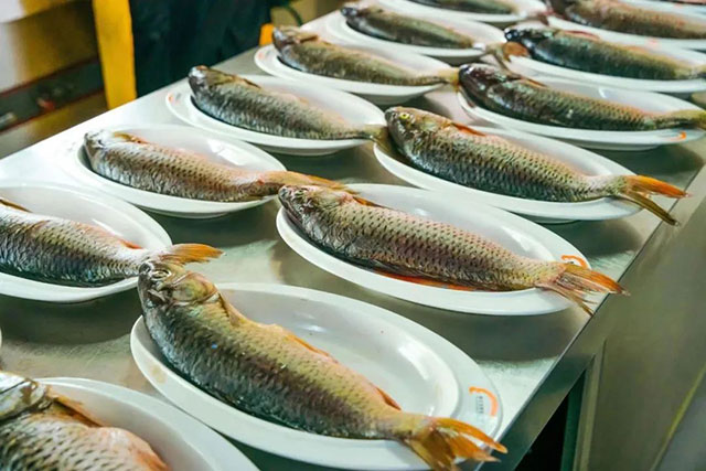 1752562407828686.jpg 2.jpg